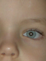 Výřez (R), 1/60 s, f/5.30, 126.00 mm, ISO: 79, Blesk: Ano