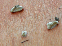 Výřez (R), 1/23 s, f/7.70, 48.00 mm, ISO: 64, Blesk: Ne