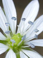 Výřez (R), 1/24 s, f/3.10, 48.00 mm, ISO: 64, Blesk: Ne