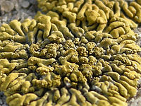 Výřez (R), 1/256 s, f/3.10, 48.00 mm, ISO: 64, Blesk: Ne