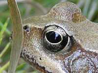 Výřez (R), 1/8 s, f/3.10, 48.00 mm, ISO: 64, Blesk: Ne