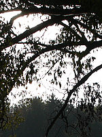 Výřez (R), 1/640 s, f/5.00, 50.00 mm, ISO: 100, Blesk: Ne