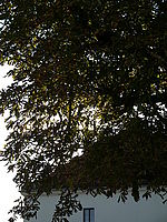 Náhled, "seťák", 1/250 s, f/5.60, 100.00 mm, ISO: 100, Blesk: Ne