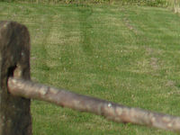 Výřez (R), 1/4000 s, f/1.40, 50.00 mm, ISO: 100, Blesk: Ne