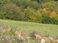 Výřez (R), 1/4000 s, f/1.40, 50.00 mm, ISO: 100, Blesk: Ne