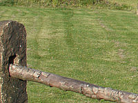 Výřez (R), 1/125 s, f/8.00, 50.00 mm, ISO: 100, Blesk: Ne