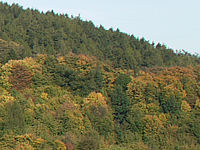 Výřez (R), 1/125 s, f/8.00, 50.00 mm, ISO: 100, Blesk: Ne