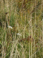 Výřez (R), 1/200 s, f/8.00, 50.00 mm, ISO: 100, Blesk: Ne