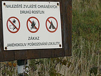 Výřez (R), 1/160 s, f/8.00, 52.00 mm, ISO: 100, Blesk: Ne