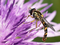 Výřez (R), 1/160 s, f/5.60, 100.00 mm, ISO: 100, Blesk: Ne