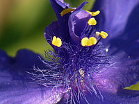 Výřez (R), 1/500 s, f/3.50, 100.00 mm, ISO: 100, Blesk: Ne