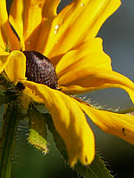 Výřez (R), 1/500 s, f/4.00, 100.00 mm, ISO: 100, Blesk: Ne