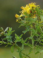 Výřez (R), 1/1600 s, f/1.40, 50.00 mm, ISO: 100, Blesk: Ne