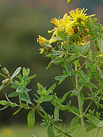 Výřez (R), 1/320 s, f/3.20, 50.00 mm, ISO: 100, Blesk: Ne