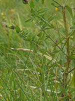 Výřez (R), 1/50 s, f/8.00, 50.00 mm, ISO: 100, Blesk: Ne