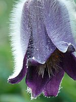 Výřez (R), 1/40 s, f/5.60, 100.00 mm, ISO: 100, Blesk: Ne