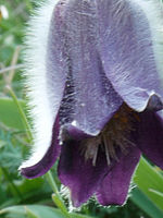 Výřez (R), 1/2 s, f/22.00, 100.00 mm, ISO: 100, Blesk: Ne