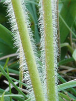 Výřez (R), 1/2 s, f/22.00, 100.00 mm, ISO: 100, Blesk: Ne