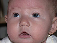 Výřez (R), 1/200 s, f/3.20, 48.00 mm, ISO: 100, Blesk: Ano