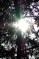 Výřez (R), 1/3000 s, f/8.00, ISO: 100
