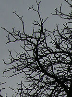 Výřez (R), 1/510 s, f/8.00, ISO: 64, 37.00 mm