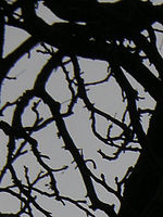 Výřez (R), 1/205 s, f/15.40, ISO: 64, 111.00 mm