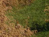 Výřez (R), 1/793 s, f/2.80, ISO: 64, 37.00 mm