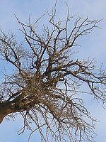 Výřez (R), 1/176 s, f/5.40, ISO: 64, 111.00 mm