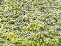 Výřez (R), 1/102 s, f/2.80, ISO: 64, 37.00 mm