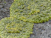 Výřez (R), 1/71 s, f/5.40, ISO: 84, 111.00 mm