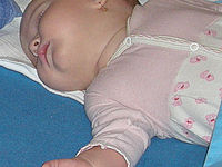 Výřez (R), 1/60 s, f/2.80, ISO: 120, 37.00 mm