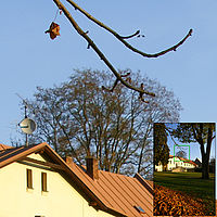 16mm, 1/640s, f3,5 , ISO100