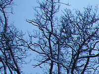 Výřez (R), 1/18 s, f/2.80, ISO: 64, Ohnisková vzdálenost: 4.70 mm