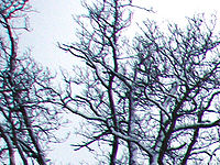 Výřez (R), 1/18 s, f/2.80, ISO: 64, Ohnisková vzdálenost: 4.70 mm