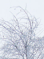 Výřez (R), 1/100 s, f/3.50, ISO: 400, Ohnisková vzdálenost: 8.60 mm