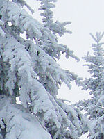 Výřez (R), 1/100 s, f/3.50, ISO: 400, Ohnisková vzdálenost: 8.60 mm