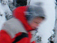 Výřez (R), 1/30 s, f/4.50, ISO: 400, Ohnisková vzdálenost: 29.40 mm