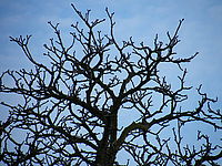 Náhled, 1/105 s, f/4.50, 84.20 mm, ISO: 64