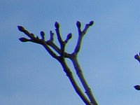 Výřez (R), 1/105 s, f/4.50, ISO: 64, Ohnisková vzdálenost: 84.20 mm