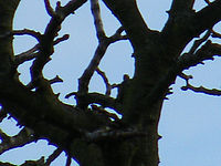 Výřez (R), 1/105 s, f/4.50, ISO: 64, Ohnisková vzdálenost: 84.20 mm