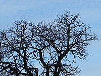 Výřez (R), 1/140 s, f/3.50, ISO: 64, Ohnisková vzdálenost: 4.70 mm