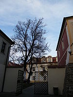 Náhled, 1/125 s, f/3.20, 4.70 mm, ISO: 64