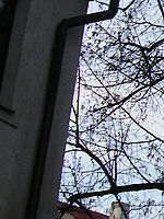 Výřez (R), 1/125 s, f/3.20, ISO: 64, Ohnisková vzdálenost: 4.70 mm