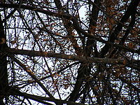 Náhled, 1/40 s, f/4.50, 84.20 mm, ISO: 64