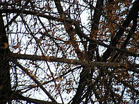 Náhled, 1/30 s, f/4.50, 84.20 mm, ISO: 64