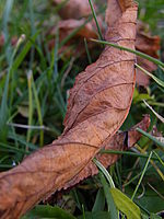 Náhled, 1/20 s, f/3.50, 9.80 mm, ISO: 64