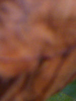 Výřez (R), 1/20 s, f/3.50, ISO: 64, Ohnisková vzdálenost: 9.80 mm | © Petr Koritina Výřez (R), 1/20 s, f/3.50, ISO: 64, Ohnisková vzdálenost: 9.80 mm