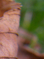 Výřez (R), 1/20 s, f/3.50, ISO: 64, Ohnisková vzdálenost: 9.80 mm | © Petr Koritina Výřez (R), 1/20 s, f/3.50, ISO: 64, Ohnisková vzdálenost: 9.80 mm