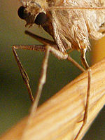 Výřez (R), 1/38 s, f/3.50, ISO: 200, Ohnisková vzdálenost: 9.80 mm | © Petr Koritina Výřez (R), 1/38 s, f/3.50, ISO: 200, Ohnisková vzdálenost: 9.80 mm