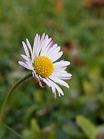 Náhled, 1/20 s, f/3.50, 9.80 mm, ISO: 64 | © Petr Koritina Náhled, 1/20 s, f/3.50, 9.80 mm, ISO: 64
